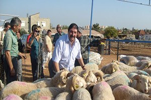 Kurbana Eziyet Edenlere Para Cezası