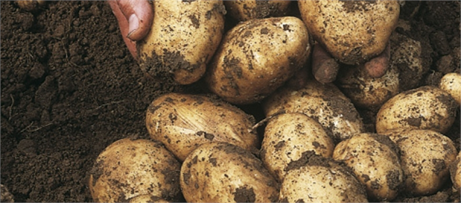 Mildiyö açıklamasına tepki