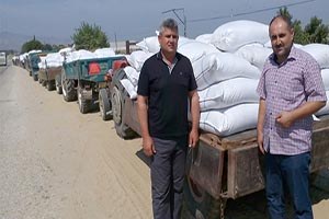 Yüksek Fiyat Açıklayan Tariş in Üzüm Depoları Önünde Kuyruklar Oluştu