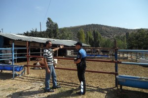 Bozüyük te Besiciler Hayvan Hırsızlığına Karşı Uyarıldı