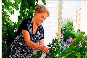 Balkonda Organik Tarım Yapıyorlar