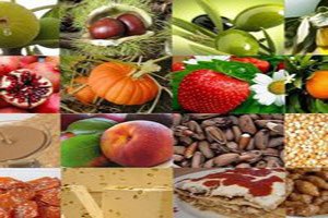 Tarım Sektörüne Yatırım Yapacaklar IPARD da Nelere Dikkat Etmeli