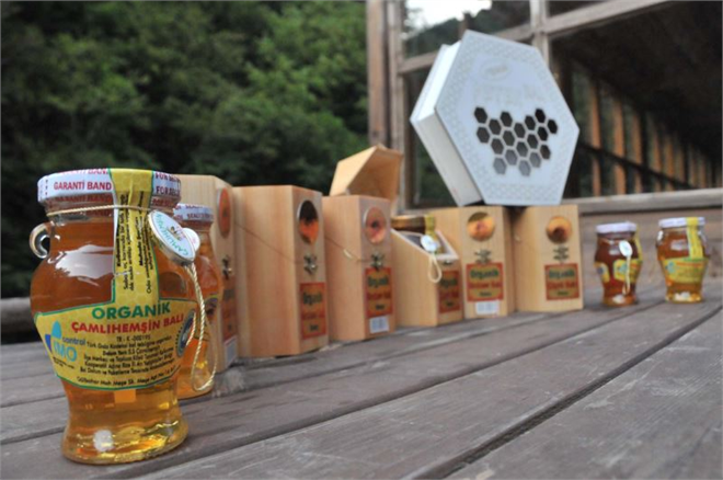 Bu Balın Kilosu 750 Lira