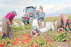 Kurdaki Artış Tarım Desteğini Sıfırladı