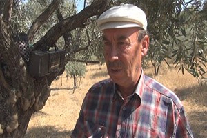 Arabesk Domuzların Korkulu Rüyası Oldu