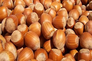 Kalite İçin Fındığınızı Kurutun Önerisi