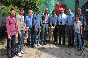 Koyun ve Koç Dağıtım Töreni Yapıldı