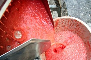 Bursa da Sokak Aralarında Salça Yaptılar