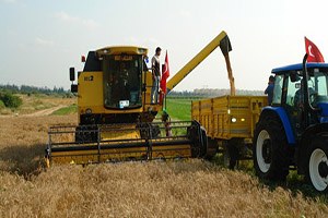 Buğday Rekoltesinde Son 4 Yılın Zirvesi