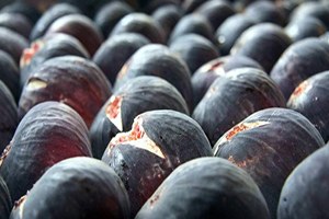 Bursa Siyahı nda Fiyatlar İhracat İle Uçtu