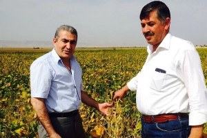 Soya Fasulyesi Çiftçilerin Umudu Oldu