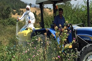 Mera Islah ve Amenajmanı Projeleri Devam Ediyor