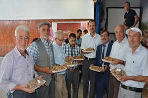 Niksar da En İyi Yerli Ceviz Yarışması