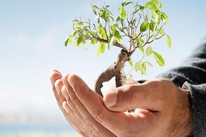 Tarım Sektörü İstikrarlı Büyümesini Sürdürüyor