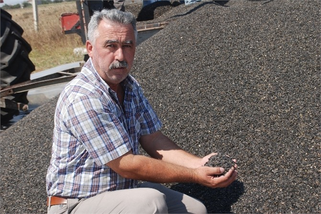 Çerkezköy Yağlı Tohumlar Tarım Satış Kooperatifi Alım Yaptı