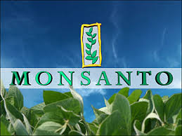 Monsanto Düşüşte