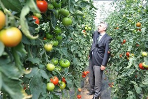 Seralarda Üretilen Ürünler Kalıntısız
