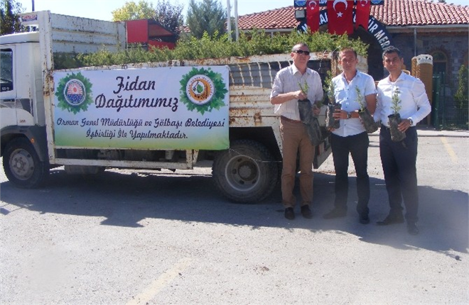 Gölbaşı nda 50 Bin Fidan Dağıtıldı
