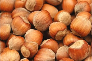 Bir Gecede Bir Ton Fındığı Çalındı