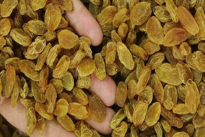 Kuru Üzüm 1 Yılda Yüzde 80 Zamlandı