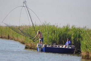 Venedik te Tarım Turizm Merkezi Sebze Bahçeleri