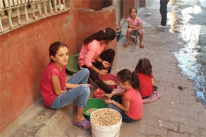 Fıstık Sayesinde Ek Gelir Elde Ediyorlar