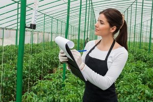 Tarım Kredi Kooperatifi Mühendis Alımı Yapacak