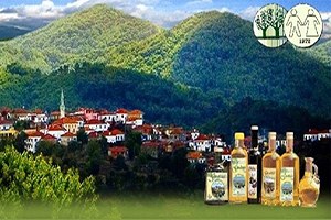 İzmir in Girişimci Köyleri