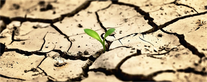 Türkiye Yarı Tropik İklime Hazır mı