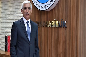 Marmarabirlik 60 Bin Ton Zeytin Alacak