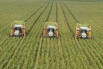 Tarımda İthalat Korkutucu Boyutta