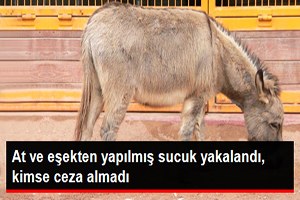 At Eti Sattıkları İddiasıyla Teşhir Edilen Firmanın Sahipleri Beraat Etti