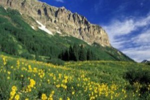 Bitki Örtüsünün İnsan Üzerindeki Etkileri