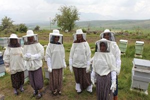 Kadınlar Bal Üretimine El Attı