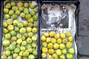 Adıyaman İncirleri Satılmaya Başladı