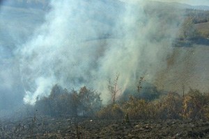 Samanlık Yangını Köylüleri Seferber Etti