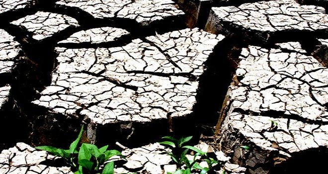 Çölleşme Ankara da Konuşulacak