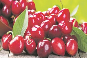 Kiraz İle Çin Kapısı Aralanacak