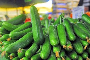 Ağustosta Zam Şampiyonu Salatalık