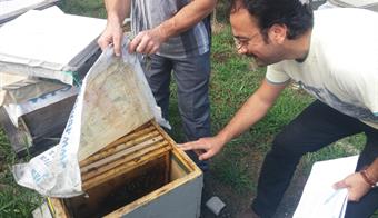 Kovan Destekleme Çalışmaları Devam Ediyor