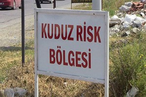 Çankırı da 9 Yerleşim Yerinde Kuduz Görüldü