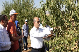 K hta da Badem Hasadı Etkinliği Düzenlendi