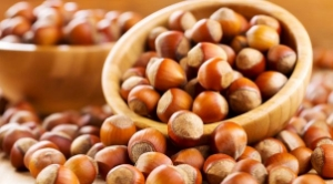 Fındığı Bekleyen Büyük Tehlike