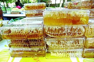 Kırıkkale Koru Köyü 1 Bal Şenliği