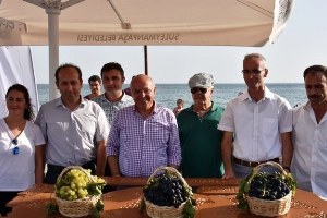 Tekirdağ ın En Güzel Üzümleri Seçildi