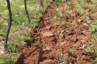 Toprak Dağıtımı Projesi