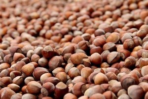 20 Sezonda 25 6 Milyar Dolarlık Fındık İhraç Edildi