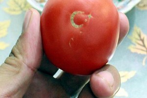 Domatesteki Ay Yıldız Figürü Dikkati Çekiyor