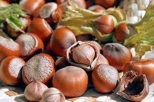 Fındık Fiyatında Büyük Düşüş