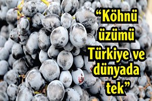 Köhnü üzümü Türkiye ve dünyada tek